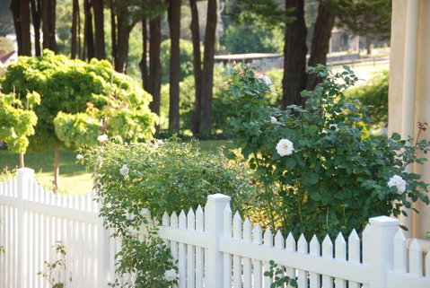 Hillside Cottage Berrima - e-Seniors 3