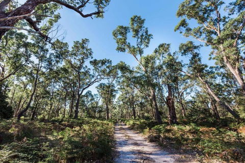 Jetty Views - Water Views On Raymond Island - e-Seniors 1