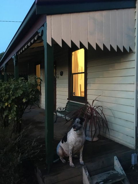 Kaikora Seaside Cottage - e-Seniors 1