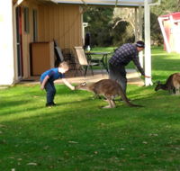 Kalgan River Chalets and Caravan Park - e-Seniors
