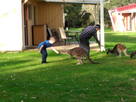 Kalgan River Chalets And Caravan Park - e-Seniors 0
