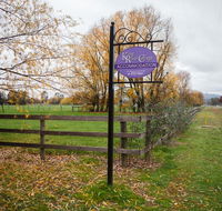 King River Cottage - e-Seniors