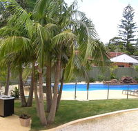 Koala Tree Motel - e-Seniors