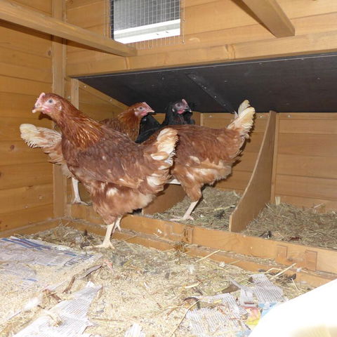 Lenoroc - e-Seniors 3