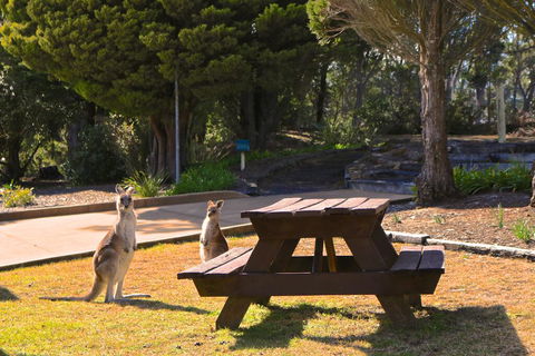 Leura Lodge At Mt Victoria - e-Seniors 2