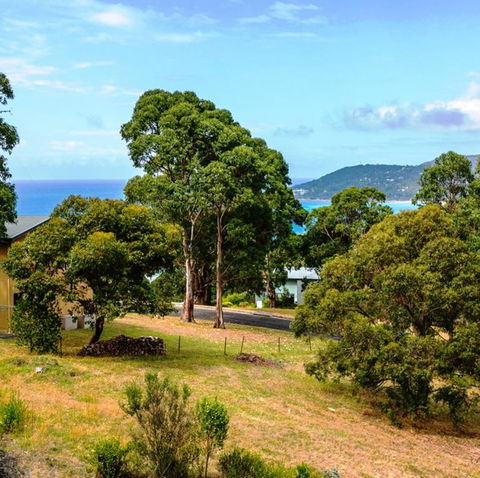 LVista Lorne - e-Seniors 2