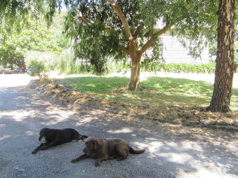 Molenda Lodge Farm Let - e-Seniors 3