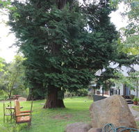 Olinda Country Cottages - e-Seniors