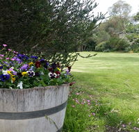 Padthaway Caravan Park - e-Seniors