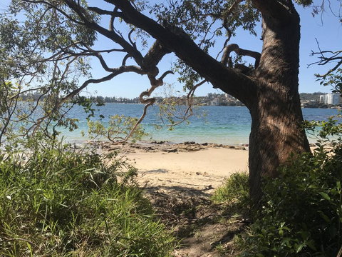 Queenscliff Beach Apartment - e-Seniors 1