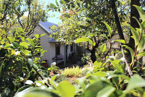 Quince Cottage - e-Seniors 2