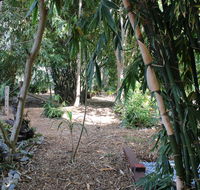 Rainforest Water Front River Shack Secluded. - e-Seniors