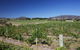 Riversdale Estate Cottages - thumb 1