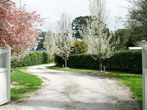 Robin Hill Manor - Rambling Retreat & Tennis Court - e-Seniors 0