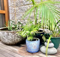 SEAeSCAPE Apollo Bay - e-Seniors