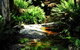 Shakespeare's Wilderness Chalet - thumb 3