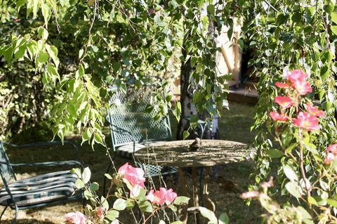 Silver Birch B&B - e-Seniors 3