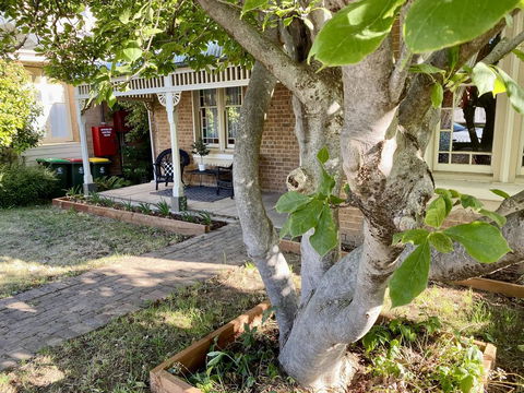SUMMER HOUSE - CENTRAL LOCATION Near PARK - e-Seniors 0