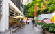 Sydney 1 Bed Modern Self Contained Apartment (402ALB) - thumb 1