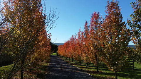 Tamar Valley Farm Stay - e-Seniors 3