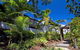 Tea Trees 6 - thumb 2