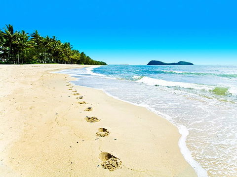 Temple 121 Modern Spacious Palm Cove 2 Brm 2 Bth Resort Apartment With Courtyard - e-Seniors 0