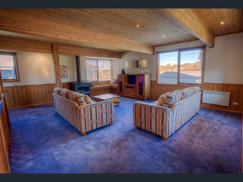 Tetleys - e-Seniors 2