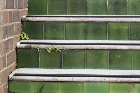 The Alison Randwick - e-Seniors 2