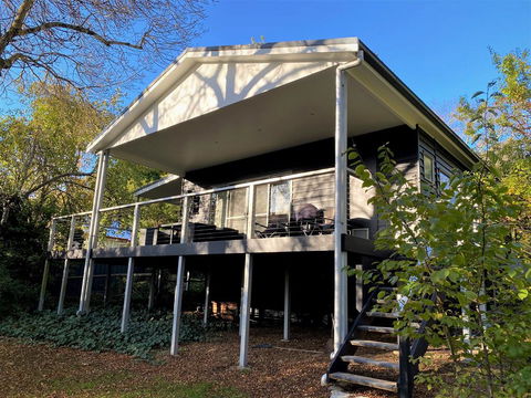 The Apple Tree - e-Seniors 1