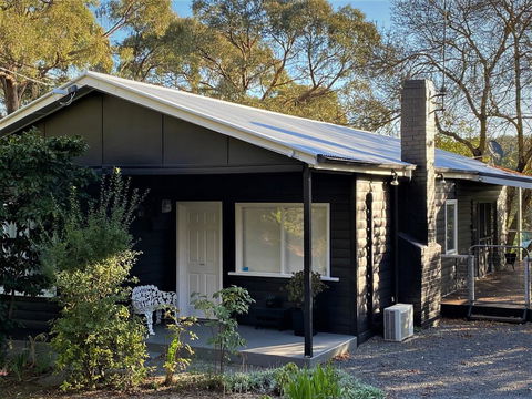 The Apple Tree - e-Seniors 0