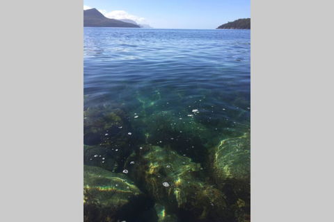The Cove... On The Rocks At Port Arthur - e-Seniors 3