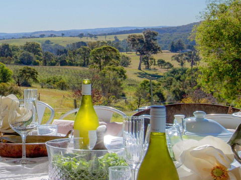 The Farmhouse - Grape Vines And Rolling Green Hills - e-Seniors 0