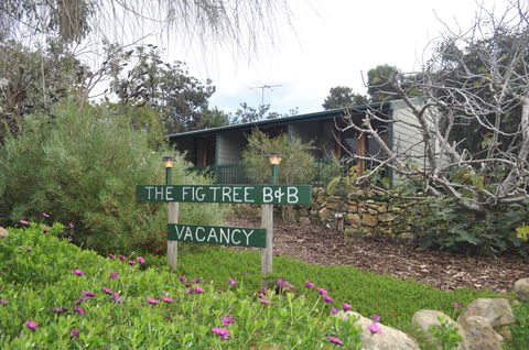 The Fig Tree B&B - e-Seniors 0