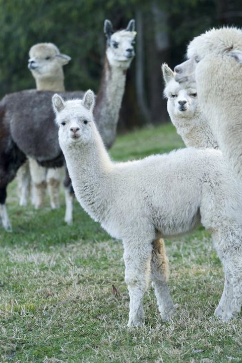 The Heavens Mountain Escape - e-Seniors 3