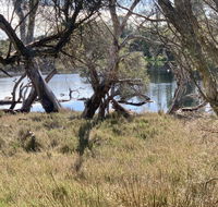 The Lake House - e-Seniors