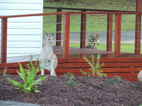 The Pouch B & B - e-Seniors 1