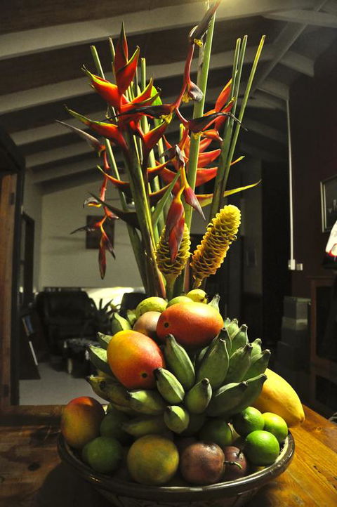 Tropical Bliss Bed And Breakfast - e-Seniors 3