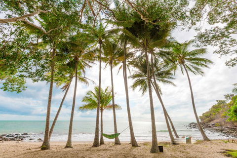 Turtle Cove Beach Resort - Adults Only LGBTQIA & Allies - e-Seniors 3