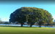 Victoria Park Villa 2 - thumb 1