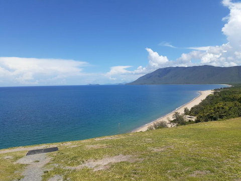 Wandering Palms - e-Seniors 1