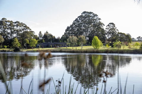 Wombat Edge - e-Seniors 2