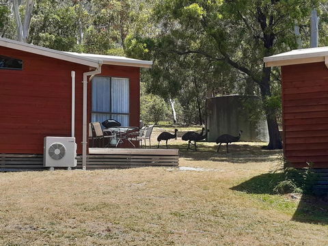 Wonderland Cottages - e-Seniors 3