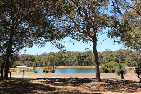 Woodstone Goanna Cottage - e-Seniors 3