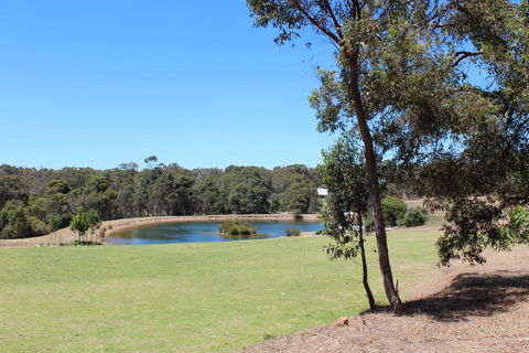 Woodstone Goanna Cottage - e-Seniors 2
