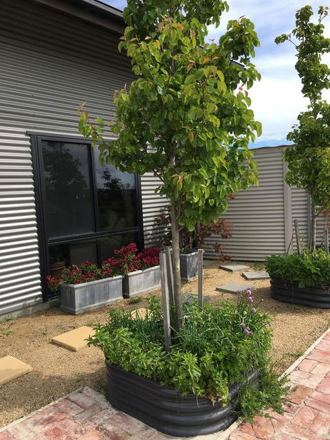 Woolamai Dreaming - e-Seniors 2