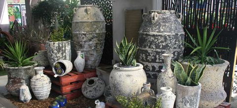 Poppy’s Home & Garden Centre - e-Seniors 1