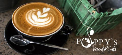 Poppy’s Home & Garden Centre - e-Seniors 2