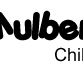 Mulberry Tree Childcare Cannington - e-Seniors
