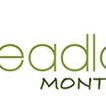 Headland Montessori ELC - e-Seniors