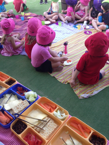 Kookaburra Early Learning - e-Seniors 8